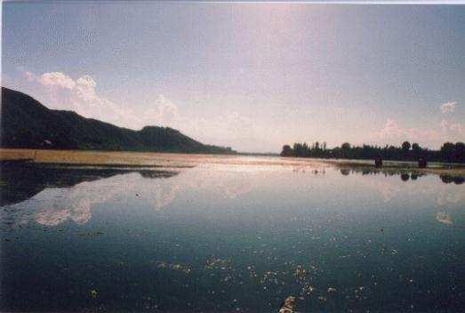 manasbal